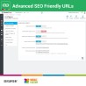 Advanced SEO Fiendly URLs