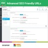 Advanced SEO Fiendly URLs