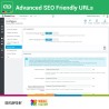 Advanced SEO Fiendly URLs