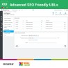 Advanced SEO Fiendly URLs